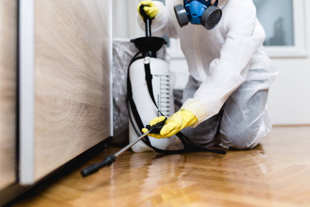 Best Pest Removal Services  in Meadow Vale, KY
