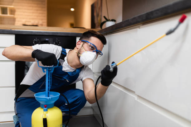 Best Affordable Pest Control Services  in Meadow Vale, KY