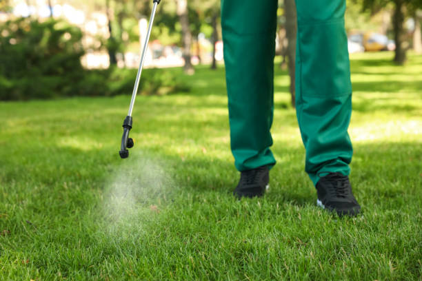 Best Emergency Pest Control  in Meadow Vale, KY
