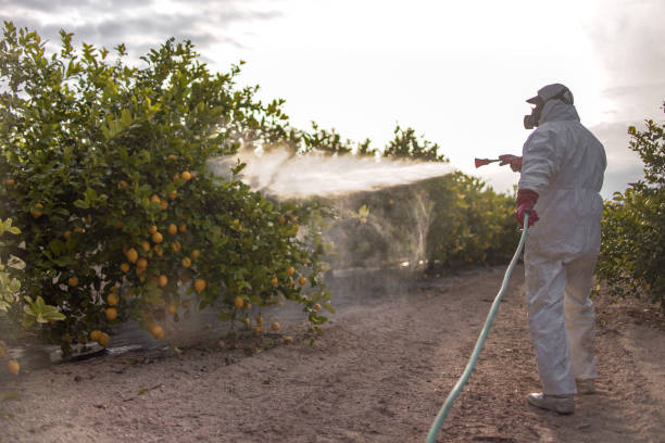 Reliable Meadow Vale, KY Pest Control Solutions