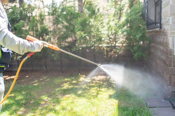 Best Pest Control Near Me in Meadow Vale, KY