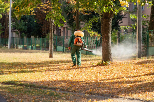 Best Cockroach Control Services  in Meadow Vale, KY