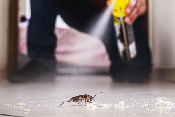 Best Pest Prevention Services  in Meadow Vale, KY