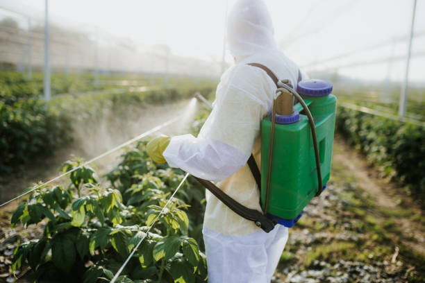  Meadow Vale, KY Pest Control Pros